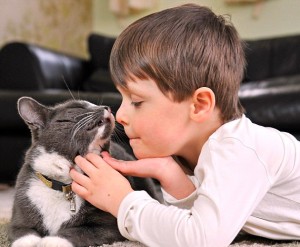 gato niño