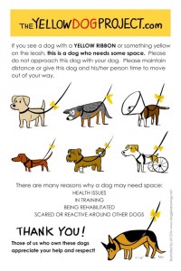 yellow dog project