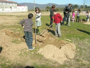 dia del arbol