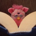 Furby
