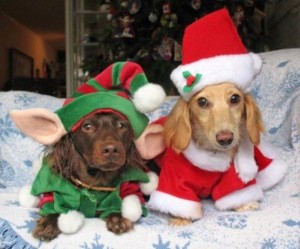 navidad